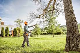 Best Organic Lawn Care Solutions  in Dover, NJ