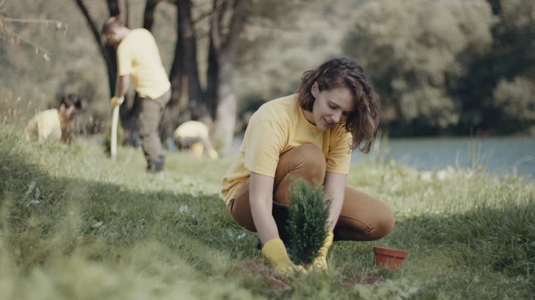 Best Lawn Watering Services  in Dover, NJ