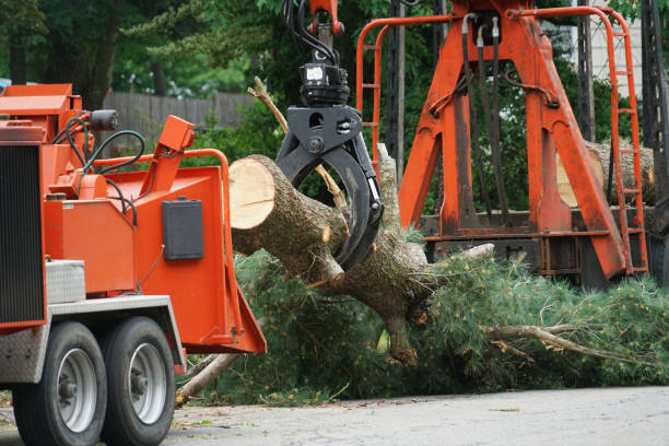 Best Lawn Irrigation Installation and Maintenance  in Dover, NJ