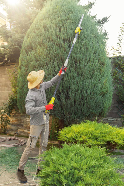 Best Soil Testing and Treatment  in Dover, NJ