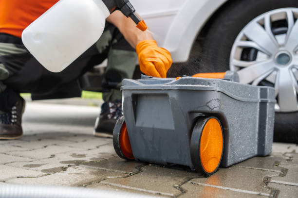 Best Tree and Shrub Care  in Dover, NJ